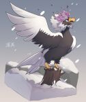  animal_focus bird commentary_request floating_atsumi grey_background highres hisuian_braviary looking_up no_humans open_mouth pokemon pokemon_(creature) snow snowing solo standing tree_stump 