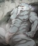  abs anthro asian_clothing canid canine canis clothing east_asian_clothing fundoshi hi_res japanese_clothing law_(sdorica) male mammal muscular muscular_male natorigingerz nipples pecs sdorica solo underwear wolf 