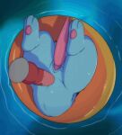  anal anal_penetration animated bodily_fluids dildo duo eeveelution erection genital_fluids genitals kalappoi knotted_dildo male male/male nintendo paws penetration penis pok&eacute;mon pok&eacute;mon_(species) pool_toy sex_toy slit stuck swim_ring tapering_penis vaporeon video_games water 