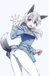  1girl absurdres animal_ears ass bangs belt blue_belt blue_eyes blue_jacket commentary eila_ilmatar_juutilainen eyebrows_visible_through_hair fox_ears fox_tail from_side grey_background highres jacket kogarashi51 leaning_forward long_hair long_sleeves looking_at_viewer looking_back military military_uniform multiple_girls no_pants open_mouth pantyhose pouch silver_hair simple_background smile solo standing strike_witches tail uniform waving white_legwear world_witches_series 