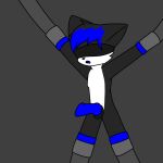  anthro bdsm black_body black_fur blue_hair blue_mouth blue_penis bondage bound canid canine canis dcat07 eyes_closed forced fur genitals hair hands_tied hi_res intersex intersex/male knot legs_tied male mammal penis rape solo spread_arms spread_legs spreading wolf 