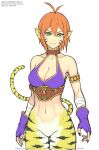  1girl animal_ears breasts breath_of_fire breath_of_fire_ii bustier cat_ears cat_tail cleavage closed_mouth facial_mark fingerless_gloves furry furry_female gloves gofelem green_eyes jewelry looking_at_viewer no_panties no_pants orange_hair pointy_ears rinpoo_chuan short_hair simple_background smile solo tail white_background 
