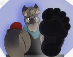 5_toes against_surface alternate_version_at_source anthro brown_body brown_fur canid canine canis clothing countershade_feet countershading electricsnowfox feet foot_fetish foot_focus fur grey_body grey_fur hi_res low-angle_view male mammal on_glass soles solo toes wolf worm&#039;s-eye_view 
