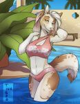  2018 anthro bikini bikini_bottom bikini_top canid canine canis clothing colored domestic_dog ear_tuft female fur inktiger mammal multicolored_body multicolored_fur outside partially_submerged pink_eyes plant poolside reign_(scfiii) shaded signature solo speckled standing_in_water swimwear tuft two_tone_body two_tone_fur 