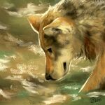  2016 ambiguous_gender canid canine canis digital_media_(artwork) feral fur goldendruid grey_body grey_fur mammal partially_submerged solo water wolf 