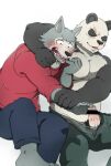  2020 5_fingers anthro barefoot beastars biped black_and_white_fur black_body black_fur blush bottomwear canid canine canis censor_bar censored clothed clothing duo erection facial_scar feet fingers forced fur genitals giant_panda glans gouhin gradient_penis grey_body grey_fur hi_res humanoid_genitalia humanoid_hands humanoid_penis ineffective_censorship legoshi_(beastars) male male/male mammal multicolored_body multicolored_fur open_bottomwear open_clothing open_mouth open_pants pants pecs penis pink_glans questionable_consent scar shinki_k simple_background toes topless topwear two_tone_body two_tone_fur ursid vein veiny_penis white_background white_body white_fur wolf 