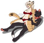  2022 alpha_channel anthro anthro_on_anthro anthro_penetrated anthro_penetrating anthro_penetrating_anthro areola black_body black_fur blue_eyes breasts cheetah clothed clothing digital_media_(artwork) domestic_cat felid feline felis female female_penetrated fur hair hi_res kittydee male male/female male_penetrating male_penetrating_female mammal nipples open_mouth penetration simple_background smile teeth tongue transparent_background vaginal vaginal_penetration 
