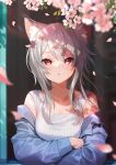  1girl :&lt; animal_ear_fluff animal_ears bangs bare_shoulders blue_jacket blurry breasts cat_ears cat_girl cherry_blossoms closed_mouth collarbone dappled_sunlight day depth_of_field eyelashes flower from_outside grey_hair hair_between_eyes highres jacket long_hair long_sleeves looking_at_viewer nima_(niru54) off_shoulder open_window original petals pink_flower red_eyes sleeveless solo sunlight symbol-only_commentary upper_body wind window 