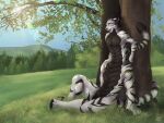  absurd_res belly_scales black_horn black_stripes cinnamomo claws felid field fur grass hi_res horn hybrid long_tail male mammal pantherine plant scales sitting solo stripes taur tiger tree under_tree white_body white_fur 