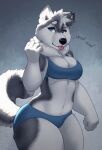  2022 5_fingers anthro big_breasts black_nose blue_clothing blue_eyes blue_underwear breasts canid canine canis cleavage clothed clothing countershade_torso countershading curvy_figure dark_markings digital_media_(artwork) domestic_dog english_text female fingers fluffy fluffy_tail fur grey_body grey_fur hair husky mammal markings neck_tuft nordic_sled_dog short_hair signature solo spitz tasanko text thick_thighs tongue tongue_out tuft underwear underwear_only 