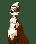  2021 accipitriform anthro avian bird breasts brown_body clothing fan_character feathered_arms female genitals ghostth39 green_background hi_res looking_at_viewer multicolored_body nipples osprey pussy sega simple_background small_breasts solo sonic_the_hedgehog_(series) two_tone_body white_body winged_arms wings yellow_eyes 