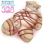  2022 anthro balls bdsm belly big_belly blush bodily_fluids bondage bound domestic_cat felid feline felis genitals jackboot_ihi japanese_text kemono male mammal minichin_chubby_day moobs navel nipples overweight overweight_male penis restraints rope rope_bondage rope_harness sad small_penis solo tears text young 