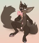  anthro balls brown_body brown_fur calvin_sable dessert dripping elcydog flaccid food foreskin fur genitals gulonine hi_res ice_cream licking male mammal marten mustelid musteline nude paws penis sable_(marten) solo tongue tongue_out 