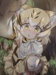  1girl animal_ears armpits bare_shoulders black_hair blonde_hair blush bow bowtie cat_ears cat_tail commentary_request elbow_gloves eyebrows_visible_through_hair feet_out_of_frame gloves grass highres kemono_friends kneeling looking_at_viewer medium_hair multicolored_hair open_mouth sand_cat_(kemono_friends) shirt skirt sleeveless sleeveless_shirt solo streaked_hair striped striped_bow striped_bowtie tail tree triangle_mouth white_shirt yayuyoyayuyo yellow_bow yellow_bowtie yellow_eyes yellow_skirt 