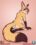  anthro balls blep butt canid canine eyewear feet fennec fox genitals glasses male mammal nicnak044 pawpads paws pinup pose solo tongue tongue_out 