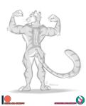  anthro butt felid feline felis flexing hi_res male male/male mammal muscular muscular_anthro muscular_male nicnak044 pantherine pinup pose sketch solo tiger 