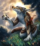  2022 5_fingers anthro blue_eyes brown_body brown_fur canid canine canis claws day detailed_background digital_media_(artwork) ear_piercing ear_ring fingers flashw fur grass grey_body grey_fur kneeling male mammal nude outside piercing plant raining sky solo white_body white_fur wolf 