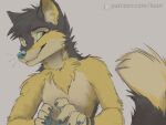  2022 anthro black_body black_fur black_hair blue_nose canid canine digital_media_(artwork) fur green_eyes hair koul male mammal smile solo yellow_body yellow_fur 