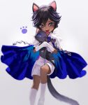  1boy animal animal_ears arjuna_(fate) bangs black_cat black_eyes blue_cape blue_eyes blush cape cat cat_boy cat_ears cat_tail child daeraeband dark-skinned_male dark_skin fate/extella fate/extella_link fate/extra fate/grand_order fate_(series) feet_out_of_frame gloves hair_between_eyes highres holding looking_at_viewer male_focus pants short_hair short_sleeves shorts simple_background smile solo tail transparent_background white_footwear white_gloves white_pants younger 