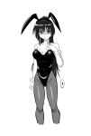  1girl animal_ears breasts commentary english_commentary fake_animal_ears greyscale highres large_breasts leotard long_hair monochrome noihara_himari omamori_himari pantyhose playboy_bunny ponytail rabbit_ears solo standing strapless strapless_leotard veko_draw_friendo very_long_hair wrist_cuffs 