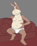  anthro barefoot briefs briefs_only brown_body brown_eyes brown_fur buckteeth bulge clothed clothing feet fur furniture hand_on_stomach inside male mature_anthro mature_male navel nintendo overweight overweight_anthro overweight_male peppy_hare pillow simple_background sitting smile sofa solo star_fox tan_body tan_fur teeth teeth_showing thegreatmatsutzu tighty_whities topless underwear underwear_only video_games white_background white_briefs white_clothing white_underwear 