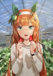  1girl absurdres animal_ears bangs blunt_bangs blurry blurry_background blush_stickers food fruit greenhouse hairband hands_up highres holding holding_food horei_tsuna horse_ears indoors long_hair long_sleeves looking_at_viewer open_mouth orange_hair plant silence_suzuka_(umamusume) smile solo strawberry sweater umamusume upper_body watch wristwatch 