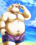  2018 anthro beach belly big_belly clothing cloud detailed_background humanoid_hands kemono male mammal moobs nipples outside overweight overweight_male seaside solo swimwear ursid water zen_(kemono_artist) 