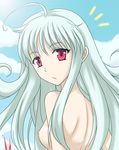  aliasse bare_shoulders blue_hair breasts female long_hair looking_back nipples nude outdoors red_eyes senjou_no_valkyria senjou_no_valkyria_2 sky solo syou syou_(crecre) 