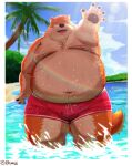  2022 absurd_res anthro beach belly big_belly blush bulge canid canine canis clothing detailed_background domestic_dog hi_res humanoid_hands kemono kumajjjj male mammal moobs nipples obese obese_male outside overweight overweight_male palm_tree plant seaside solo swimwear tree water wet 