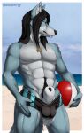  abs absurd_res animal_genitalia anthro ball balls balls_outline beach beach_ball black_hair blue_body blue_fur body_hair canid canine clothed clothing eyewear fox fur genital_outline genitals hair happy_trail hi_res inflatable jewelry kahnso_(ceeb) large_sheath locket long_hair looking_aside male mammal muscular muscular_male necklace outside partially_clothed pecs pubes red_eyes sand sea seaside sheath solo sunglasses swimming_trunks swimwear truegrave9 tusks water white_body white_fur 