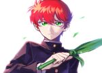  1boy gakuran green_eyes holding holding_leaf holding_weapon hsh7955 kurama_(yu_yu_hakusho) leaf plant red_hair school_uniform short_hair solo weapon yu_yu_hakusho 