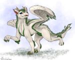  2022 4_toes ambiguous_gender blue_eyes claws digital_media_(artwork) digitigrade dragon feathered_dragon feathered_wings feathers feet feral fur furred_dragon paws solo standing teeth toes tongue weisswinddragon white_body white_feathers white_fur wings 