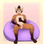  absurd_res ailurid anthro bean_bag casual_nudity catpot chair ear_piercing ear_ring feet fur furniture genitals green_eyes hi_res humanoid_genitalia looking_at_object looking_at_phone male mammal marsaovo nude on_chair orange_body orange_fur penis phone piercing red_panda relaxing shaded simple_background sitting sitting_on_chair soft_penis solo 