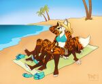  anthro beach beach_towel bikini bikini_top bottomwear canid canine clothing felid female flip_flops footwear fox hybrid mammal multi_arm multi_leg multi_limb pac palm_tree pantherine plant sand sandals seaside shorts sitting solo swimwear tiger towel tree water 