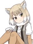  1girl animal_ear_fluff animal_ears commentary elbow_gloves eyebrows_visible_through_hair eyes_visible_through_hair fox_ears fur_collar gloves grey_vest hand_on_own_knee head_tilt highres kemono_friends light_brown_hair looking_at_viewer multicolored_hair one-hour_drawing_challenge pantyhose shiraha_maru shirt short_sleeves simple_background sitting smile solo split_mouth tibetan_fox_(kemono_friends) twitter_username two-tone_hair vest white_background white_hair white_shirt yellow_eyes 