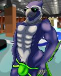  abs accipitrid accipitriform anthro avian bird blitz_the_seahawk bulge clothing genitals hi_res jockstrap looking_at_viewer male mascot muscular nfl pecs penis pulling_jockstrap pulling_underwear_down seahawk seattle_seahawks solo thebigblackcod underwear 