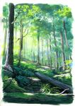  border day forest highres moss nature no_humans original outdoors sawitou_mizuki scenery tree white_border 