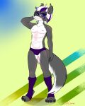  absurd_res anthro caliluminos canid canine character_name: clothing footwear fox hi_res issacs lingerie male mammal pose socks solo 