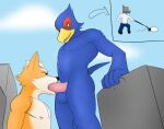  avian bird blue_body building canid canine erection falco_lombardi fellatio fox fox_mccloud genitals hi_res jrjresq low-angle_view lying macro male male/male mammal nintendo oral penile penis sex siman-clifton simple_background sperm_cell star_fox video_games 