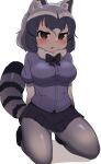  1girl animal_ears arms_behind_back black_bow blush bow breasts brown_eyes chis_(js60216) common_raccoon_(kemono_friends) eyebrows_visible_through_hair fang full_body fur_collar grey_hair highres kemono_friends kneeling large_breasts long_sleeves looking_at_viewer multicolored_hair open_mouth pantyhose pleated_skirt puffy_short_sleeves puffy_sleeves raccoon_ears raccoon_girl raccoon_tail short-sleeved_sweater short_hair short_sleeves simple_background skirt solo striped_tail sweater tail white_background 