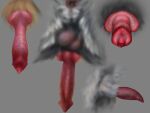  4:3 ambiguous_form anatomically_correct anatomically_correct_genitalia anatomically_correct_penis animal_genitalia animal_penis anus balls canine_penis erection fur genitals glistening glistening_genitalia glistening_penis gradient_penis grey_background grey_balls grey_body grey_fur grey_sheath knot penis perineum pink_penis red_penis simple_background skyelegs solo tan_body tan_fur urethral 