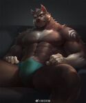 5_fingers 6suan anthro biceps bulge canid canine canis clothed clothing erection fingers genital_outline kemono male mammal muscular nipples pecs penis_outline solo topless underwear wolf 