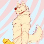  2022 anthro canid canine canis digital_media_(artwork) erection fluffy fur genitals humanoid_genitalia humanoid_penis koorivlf looking_at_viewer mammal nipples nude penis penis_tip side_view signature simple_background sketch smile solo standing wolf yellow_penis 