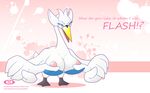  bird pokemon swan swana 