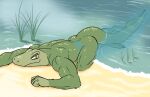  2022 60percentscalie anthro beach big_muscles butt crawling evolution fish grass humor looking_at_viewer male marine muscular muscular_anthro muscular_male narrowed_eyes nude outside partially_submerged plant sand seaside smile solo water 