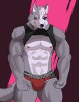  2022 abs abstract_background absurd_res anthro barazoku big_bulge big_muscles bite bulge canid canine canis clothed clothing clothing_bite eye_patch eyebrows eyewear fur hair hi_res male mammal muscular muscular_anthro muscular_male naikuma navel nintendo nipples pecs pink_background purple_background raised_clothing raised_shirt raised_tank_top raised_topwear shirt simple_background smile solo standing star_fox tank_top text text_on_clothing text_on_underwear topwear tuft underwear video_games wolf wolf_o&#039;donnell 