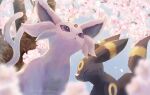  :&lt; blurry closed_eyes closed_mouth commentary_request day espeon falling_petals flower fluffy from_below momomo12 no_humans outdoors petals pink_flower pokemon pokemon_(creature) purple_eyes tree umbreon 