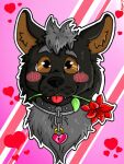  anthro bilgw canid canine canis digital_media_(artwork) fenrir_(disambiguation) flower headshot_portrait holidays invalid_tag male mammal plant portrait romantic valentine&#039;s_day wolf 
