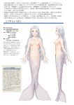  1girl anatomical_model blue_eyes breasts character_profile cleft_of_venus highres long_hair marikei0109 mermaid monster_girl navel nipples nude original pussy silver_hair text_focus translation_request white_background 