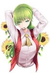  1girl adjusting_hair arms_behind_head arms_up ascot bangs collared_shirt commentary_request flower green_hair hair_tie hair_tie_in_mouth hands_in_hair highres holding holding_hair kamiya_ueshi kazami_yuuka long_hair long_sleeves mouth_hold plaid plaid_vest shirt sunflower touhou touhou_(pc-98) tying_hair upper_body very_long_hair vest white_shirt yellow_ascot 